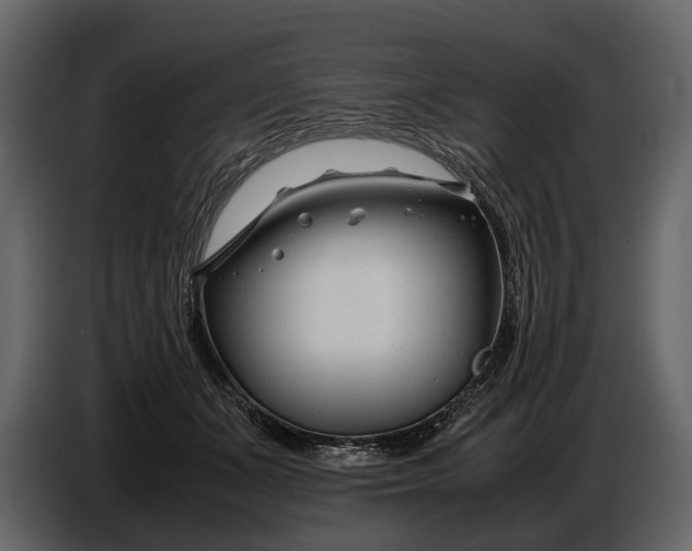 X0000086960511200705071338