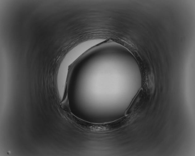 X0000086960512200705071338