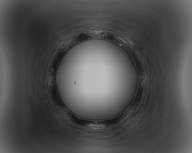 X0000086960515200705071338