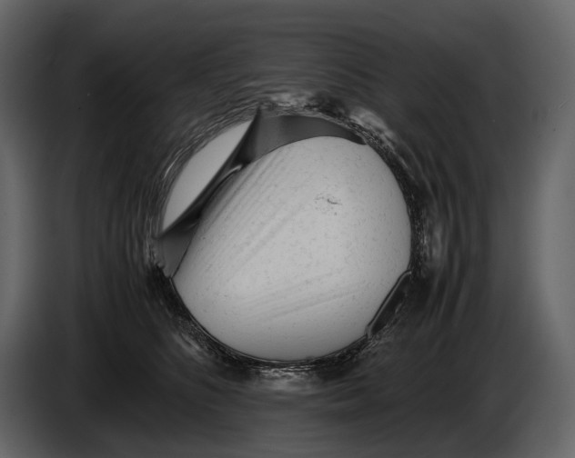 X0000086960516200705071338