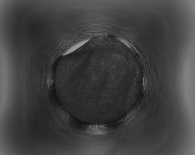 X0000086960517200705071338
