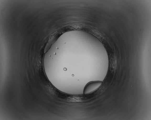 X0000086960518200705071338