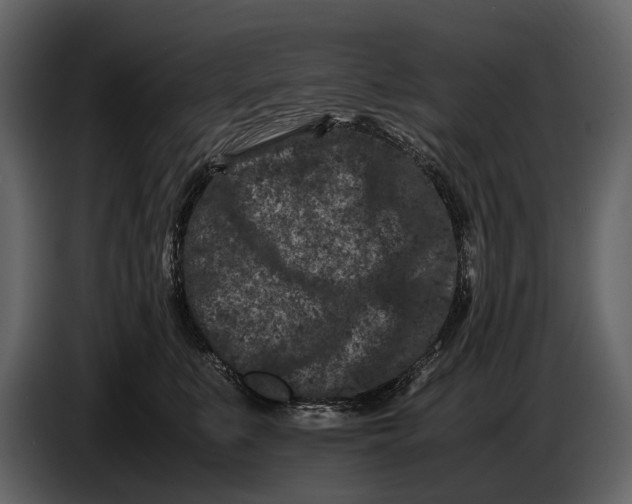 X0000086960519200705071338