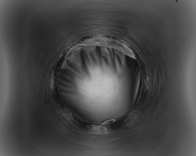 X0000086960520200705071338