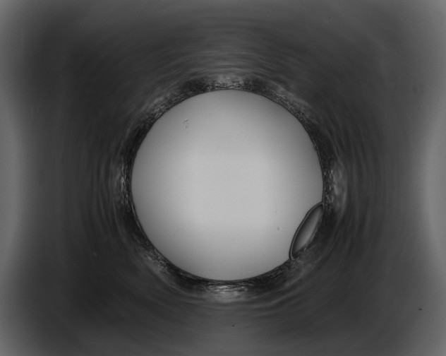 X0000086960522200705071338