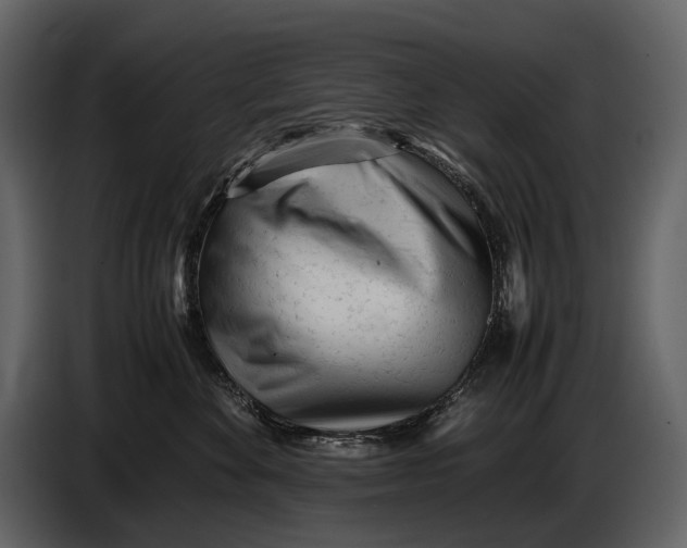 X0000086960524200705071338