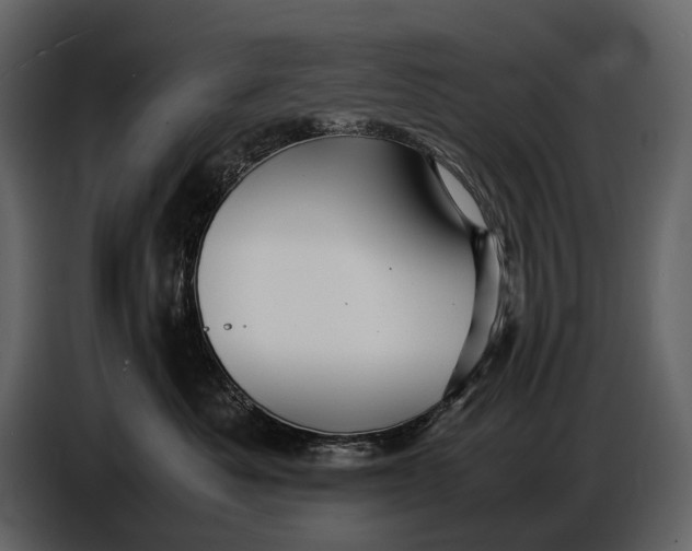 X0000086960525200705071338