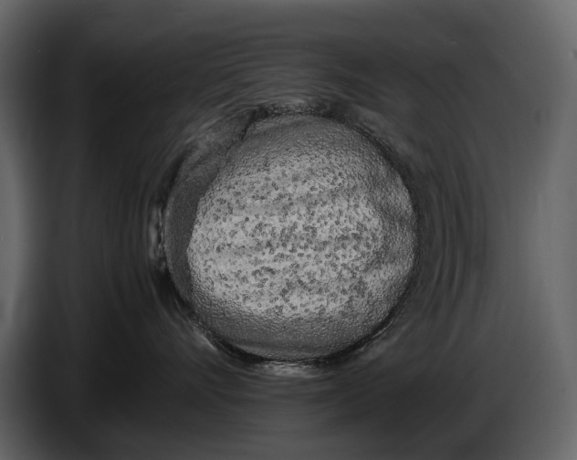 X0000086960528200705071338