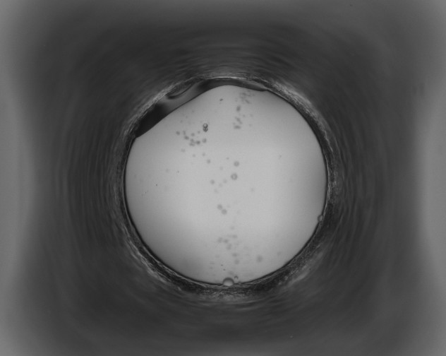 X0000086960529200705071338