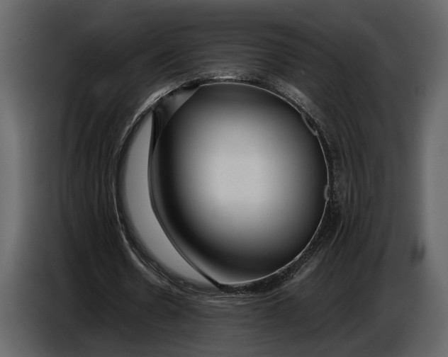 X0000086960530200705071338