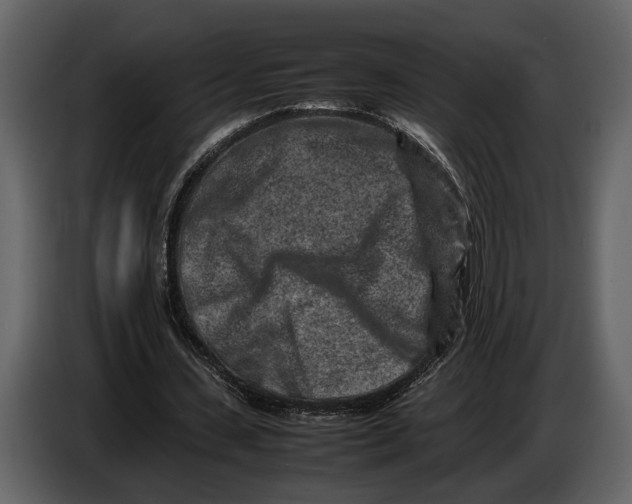 X0000086960531200705071338