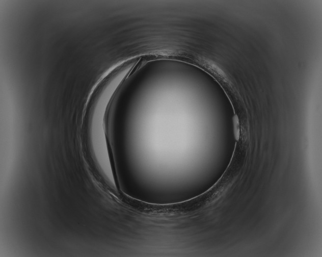 X0000086960532200705071338