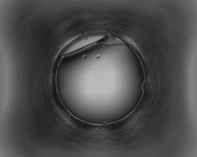 X0000086960535200705071338