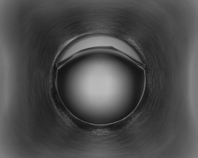 X0000086960536200705071338