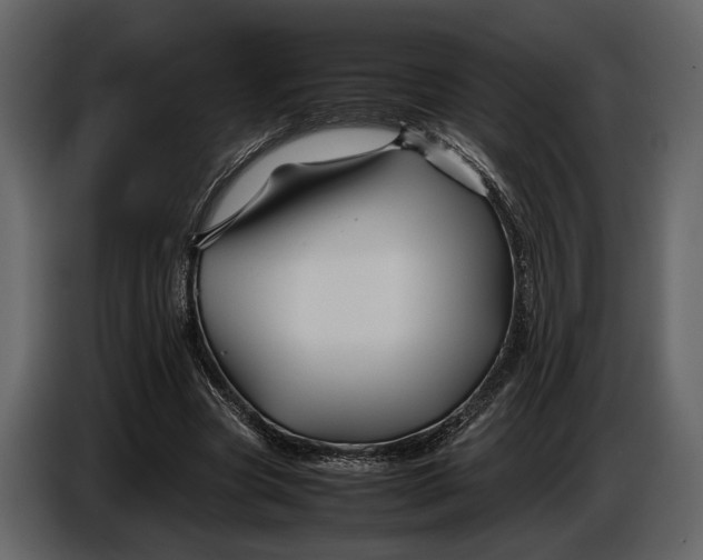 X0000086960537200705071338