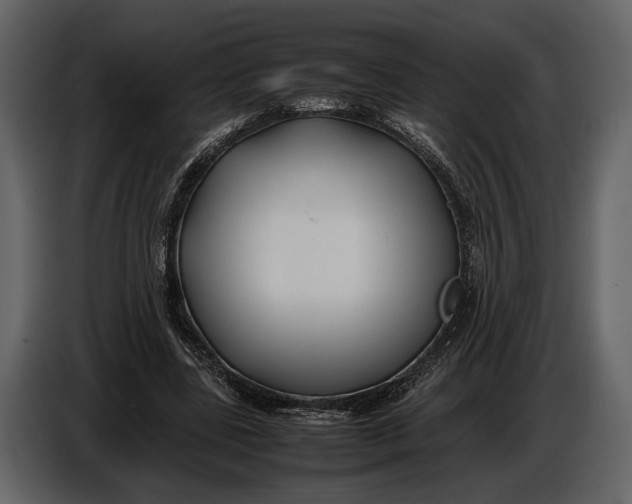 X0000086960539200705071338
