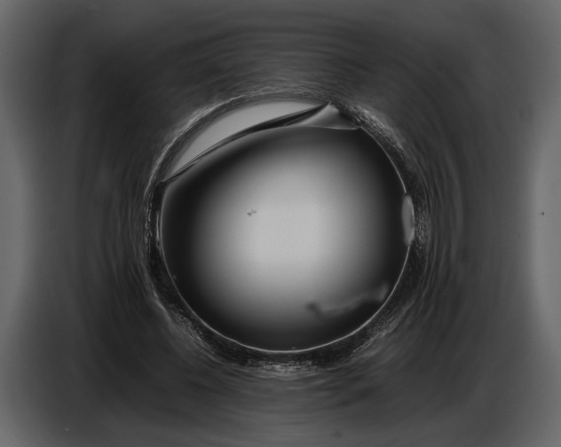 X0000086960540200705071338