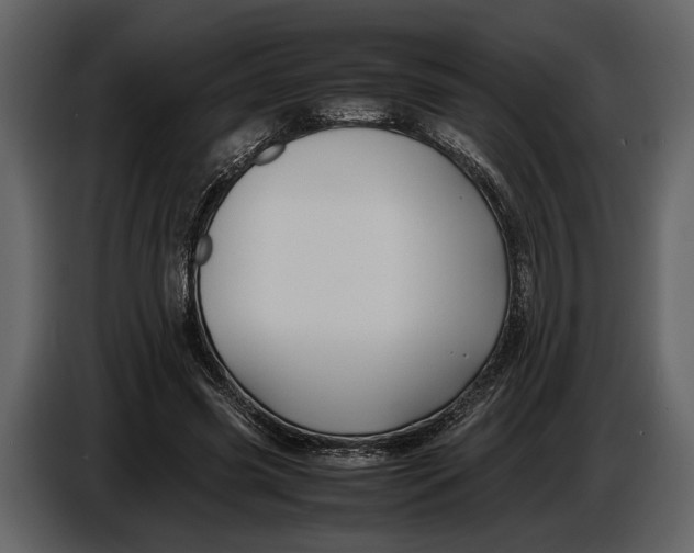 X0000086960541200705071338