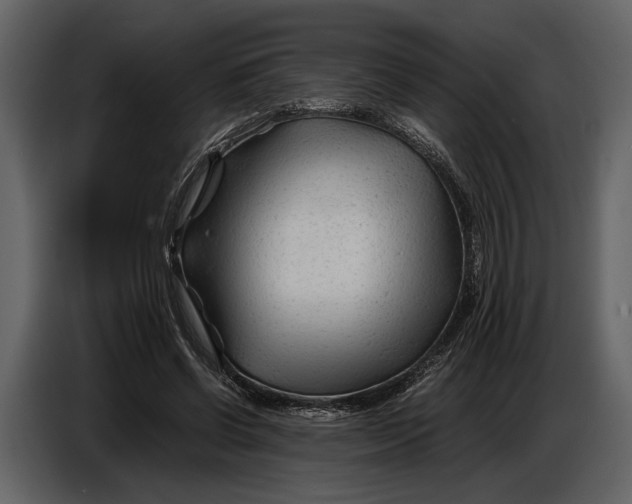 X0000086960542200705071338