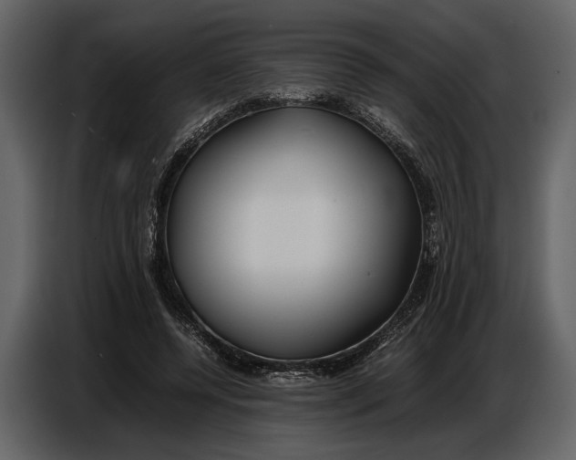 X0000086960544200705071338