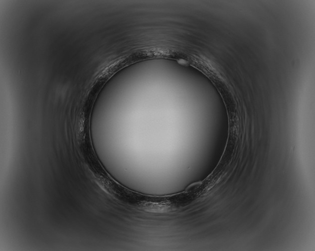 X0000086960548200705071338