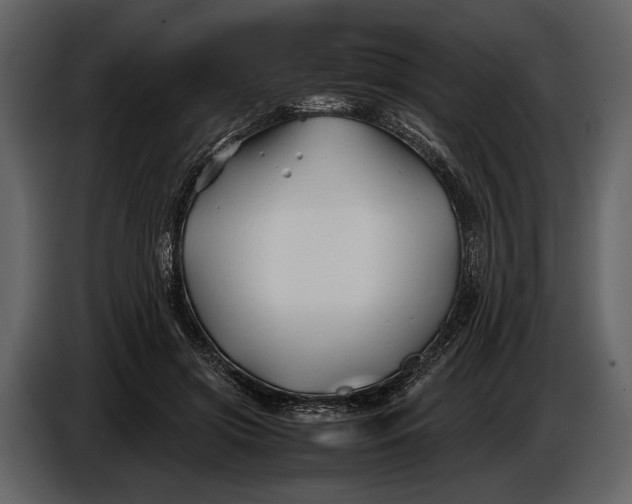 X0000086960549200705071338
