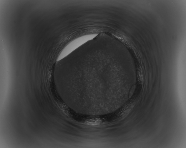 X0000086960551200705071338