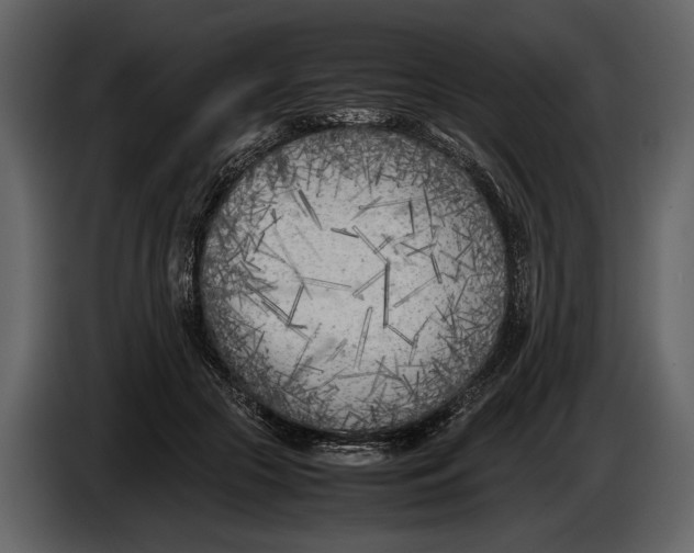 X0000086960553200705071338