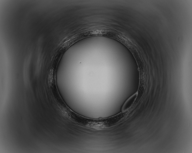 X0000086960554200705071338