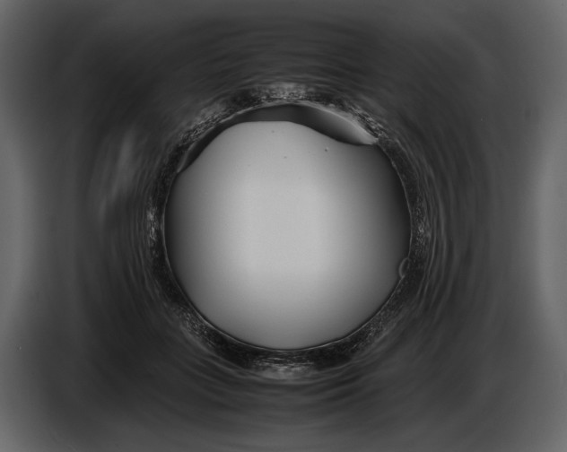 X0000086960555200705071338