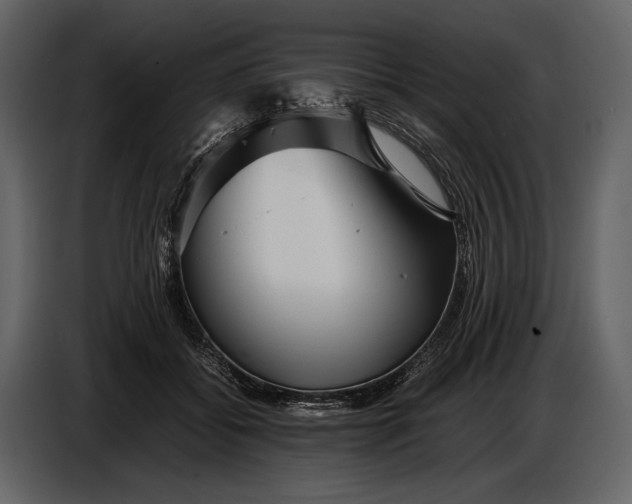 X0000086960556200705071338