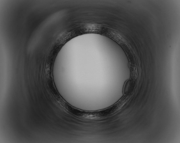 X0000086960557200705071338