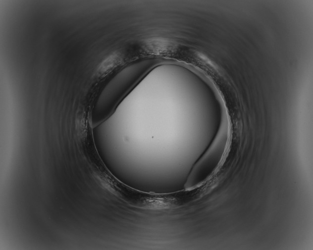 X0000086960558200705071338
