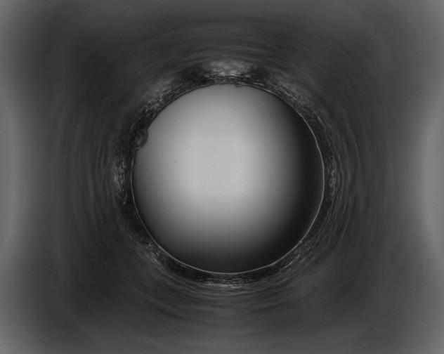 X0000086960559200705071338