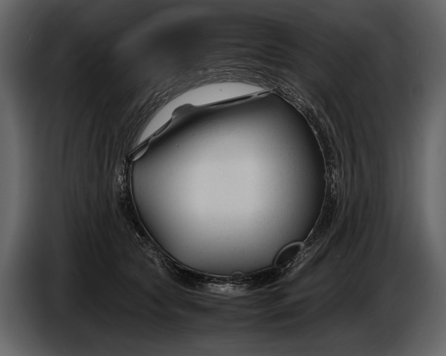 X0000086960561200705071338