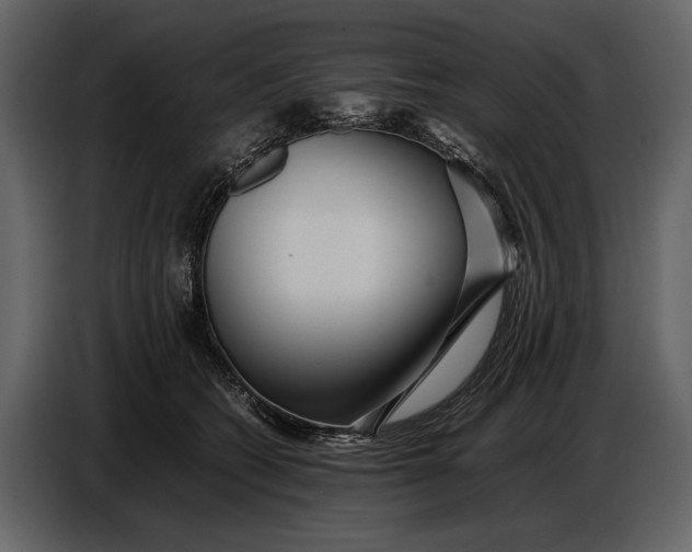 X0000086960562200705071338