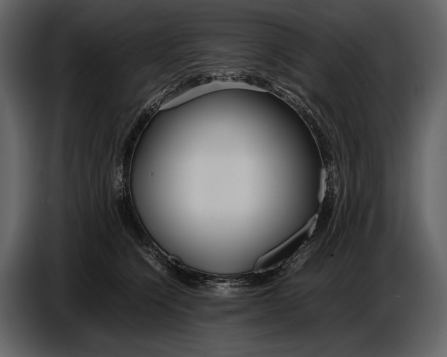 X0000086960564200705071338
