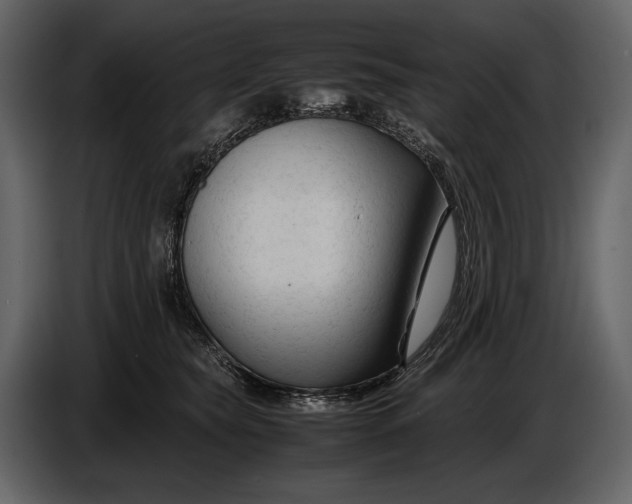X0000086960565200705071338
