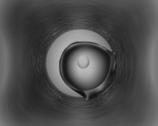 X0000086960566200705071338