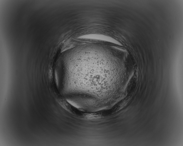 X0000086960568200705071338