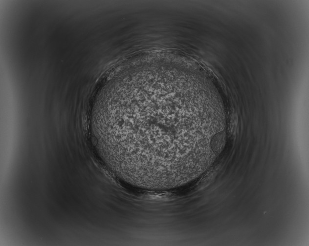 X0000086960569200705071338
