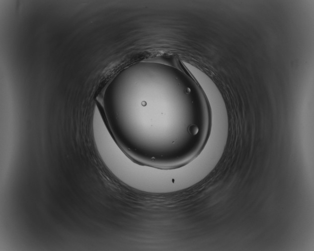 X0000086960570200705071338