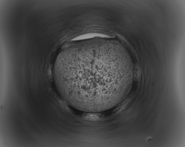 X0000086960573200705071338