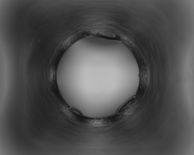 X0000086960574200705071338