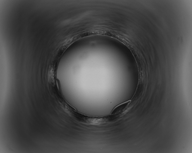 X0000086960575200705071338