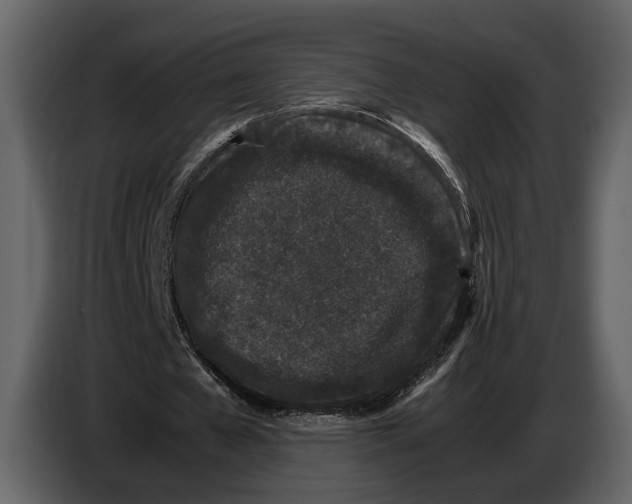 X0000086960577200705071338