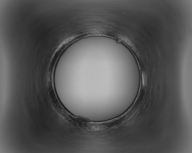X0000086960579200705071338