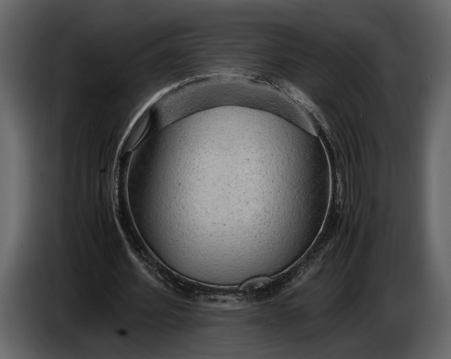 X0000086960580200705071338