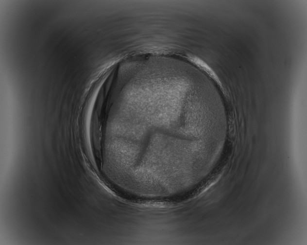 X0000086960581200705071338