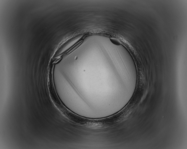 X0000086960582200705071338
